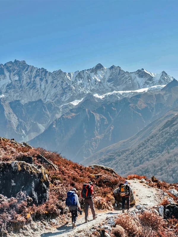 A forested trail in the Langtang region