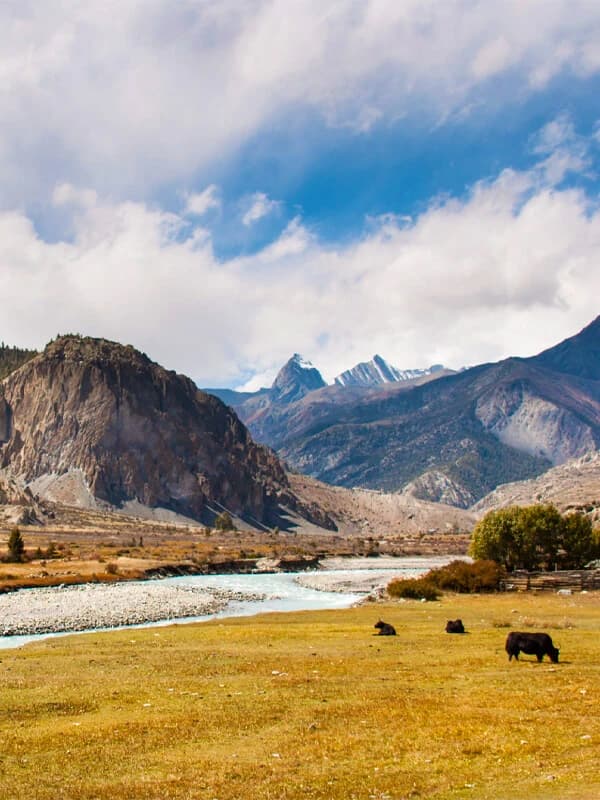 Gorgeous scenery of the Mustang trekking trail, featuring far-off mountains and vibrant surroundings