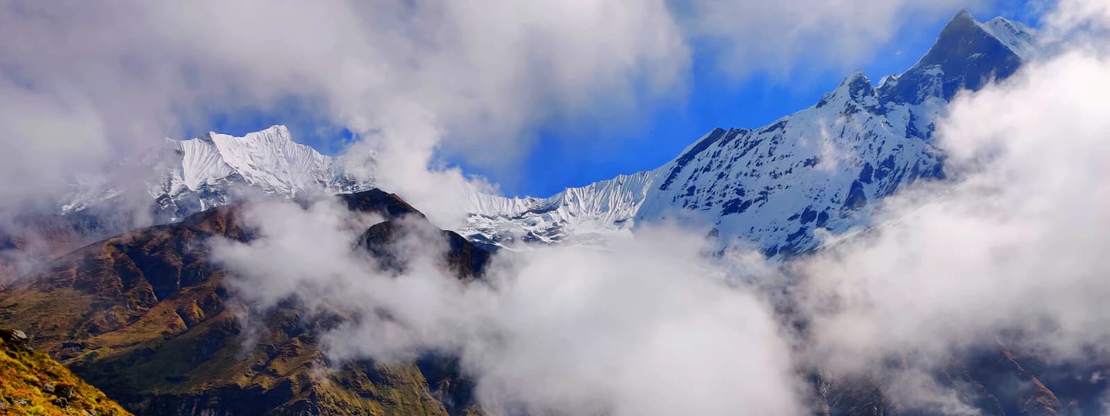 Ghorepani Poon Hill Tour 8 Days