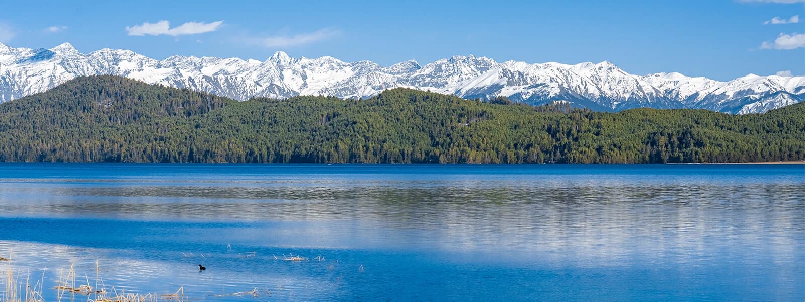 Rara Lake hike, enjoy the tranquil vista of Rara Lake surrounded by rich vegetation and stunning mountain landscapes.